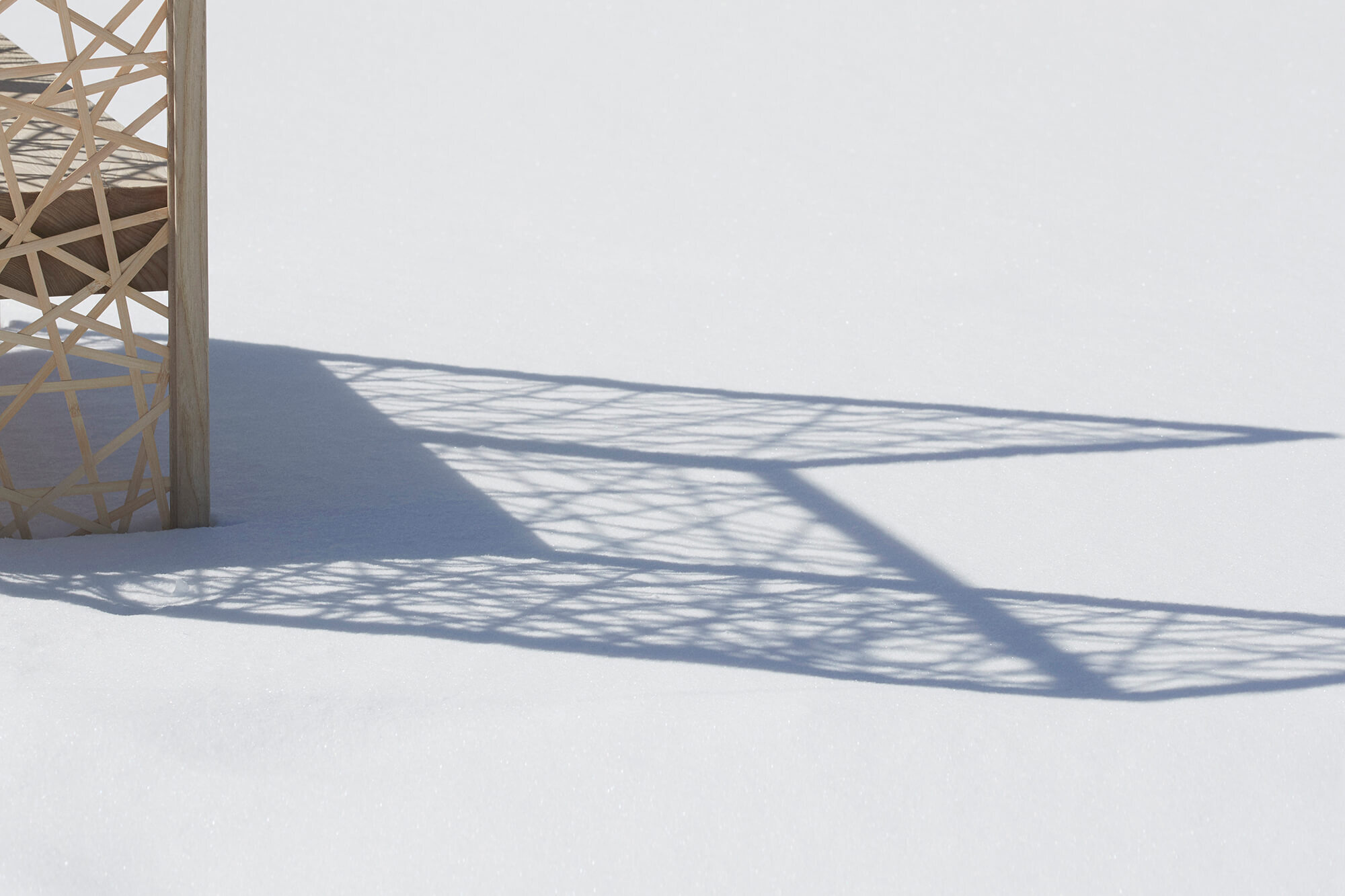 WANDER FROM WITHIN (EXHIBITION & INSTALLATION)